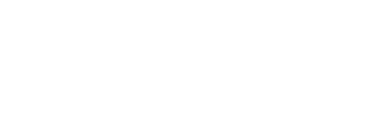 Values We Offer
